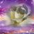 Carrie Jackman's profile image