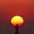 Jaswant Singh's profile image
