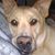 Craig Ghio's profile image