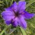 Debbie Terranova's profile image