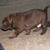 Steve Prescher's profile image