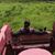 Jody Powell Beaty's profile image