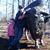 Michele Jackson Pellock's profile image