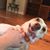 Jamye Foster's profile image