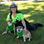 Denise Shue's profile image