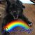 Jennifer Neider's profile image
