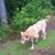 Richard F. Stewart's profile image