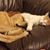Haley Dingfelder's profile image