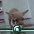 Linda Huber's profile image