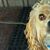 Loretta Sosebee's profile image