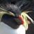 Kimberli Bratton Piper's profile image