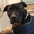 Sheila Hengesbach's profile image