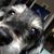 Robin Reade's profile image