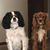 Beth Skogen Peterson's profile image