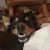 Trudy McAdams's profile image