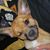 Kim Steiner Berryhill's profile image