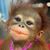 Judith Ann Hilton's profile image