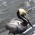 Maria Colonna Poliacek's profile image
