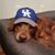 Merrie Rogers's profile image