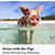 Tricia Howland DePasquale's profile image