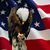 Kathy Wood's profile image