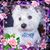 Linda McConnell's profile image