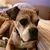 Duraye Marshelle's profile image