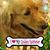 Barbara Cloyd Moore's profile image
