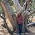 Anna Loomis Russell's profile image