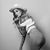 Torrie Blake's profile image