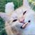 Damion Helgrave's profile image
