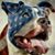 Armygirl Kelly's profile image