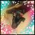 Melissa Blaine's profile image