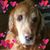 Terri Jenkins-Favata's profile image