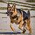 Gary M Blumm's profile image