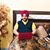 GaVy SaNdhu's profile image