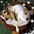 Kathy Dorofey Goughnour's profile image
