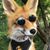 Darryl Balaski's profile image