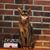 Sandra Franklin Dent's profile image