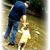 Ray Horsley's profile image