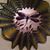 Kathleen Alexy Helm's profile image