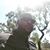 Tehron Jacobs's profile image