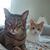 Donna Marie Gavenas's profile image