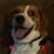 Kimberley Arney's profile image