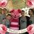 Cathleen Sullivan's profile image