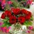 Jill Snook's profile image