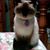 Amy Orozco's profile image