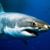 Brian Van Kampen's profile image