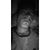 Ahmet Görüken's profile image