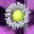 Sarah Rennick's profile image